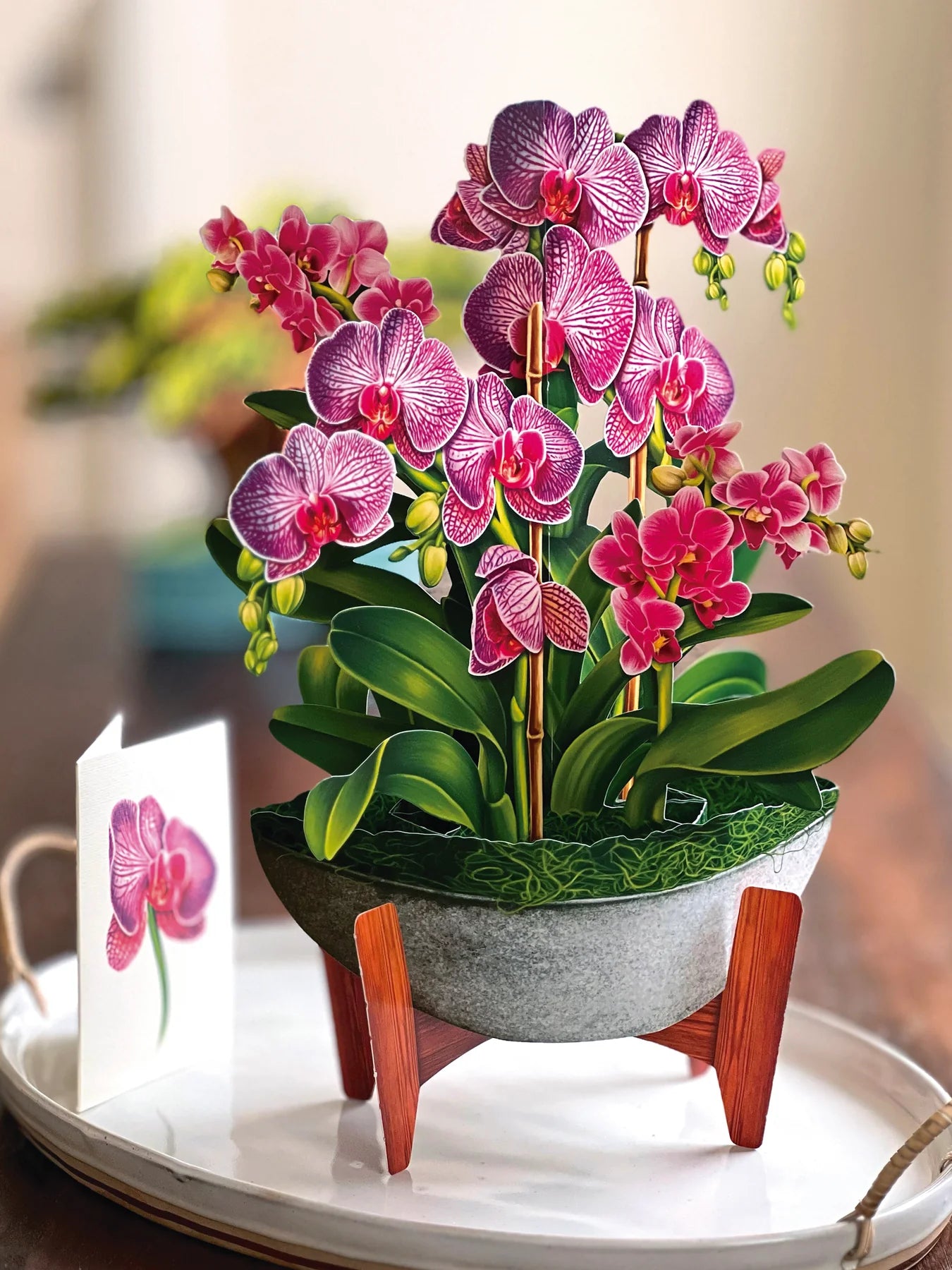 FreshCut Paper Flowers - Orchid Oasis