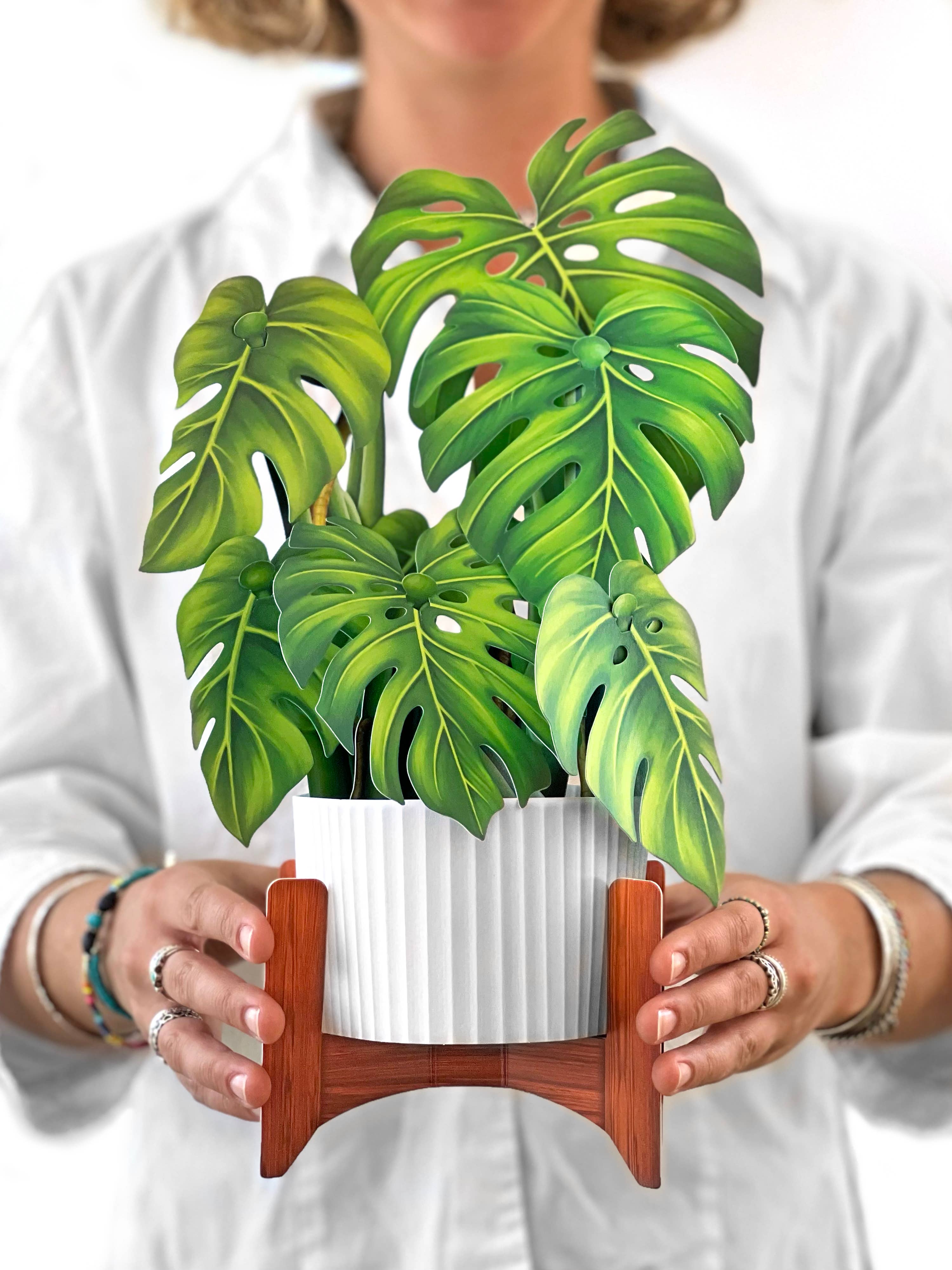 Monstera Plant Pop-Up Greeting Card