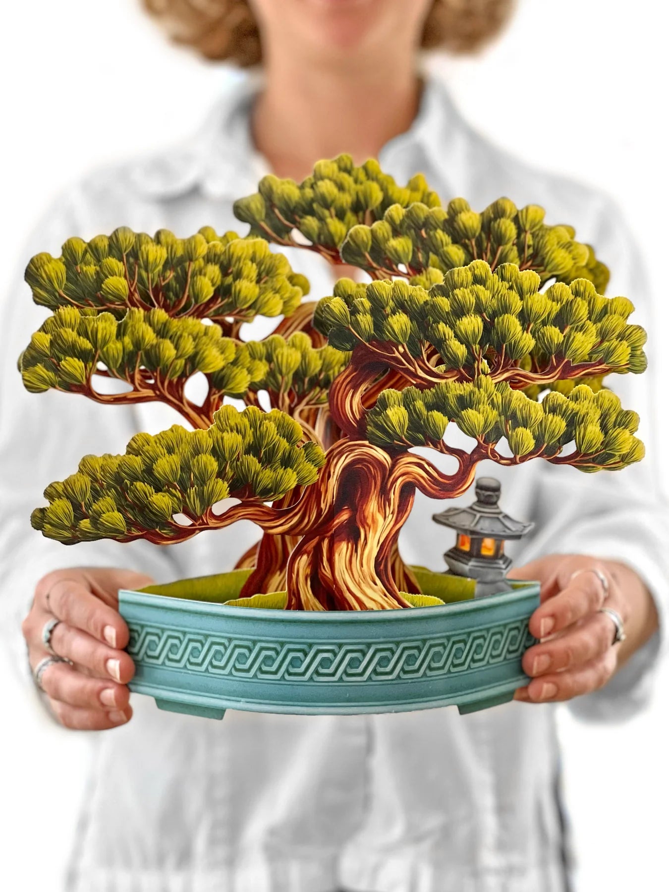 FreshCut Paper Flowers - Wisdom Bonsai