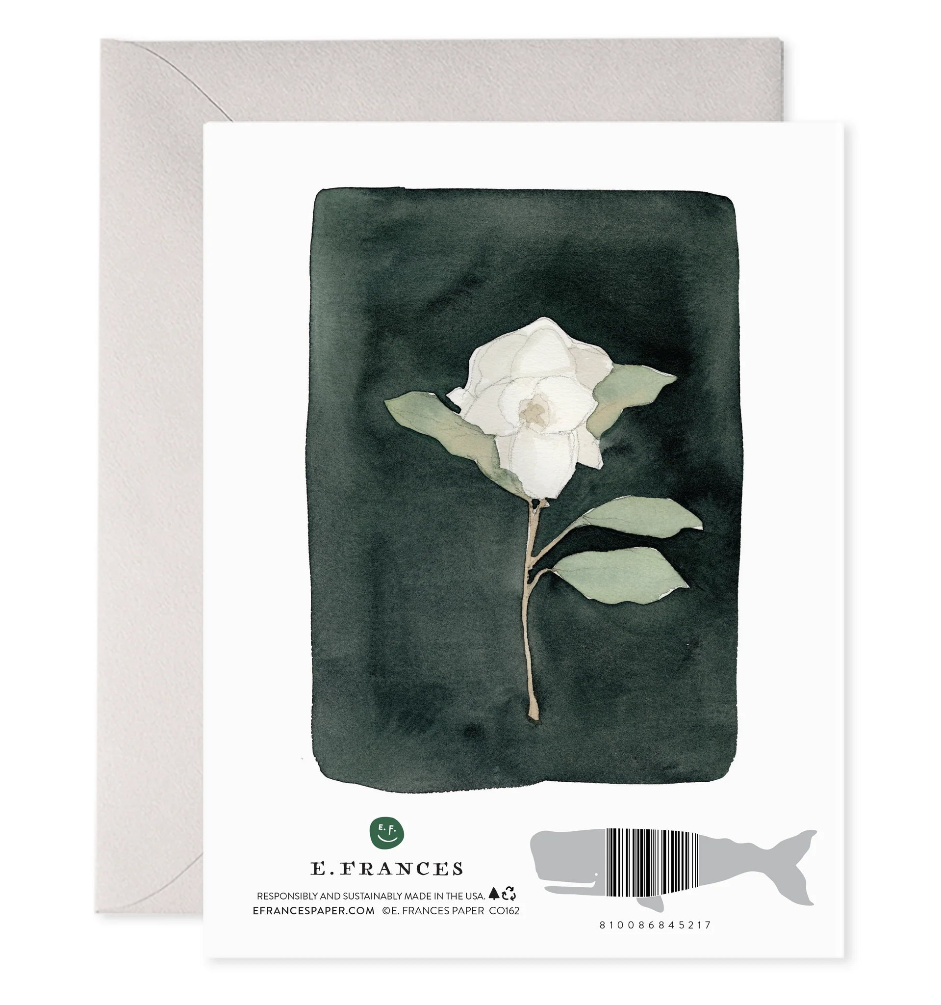 White Flower Sympathy Greeting Card