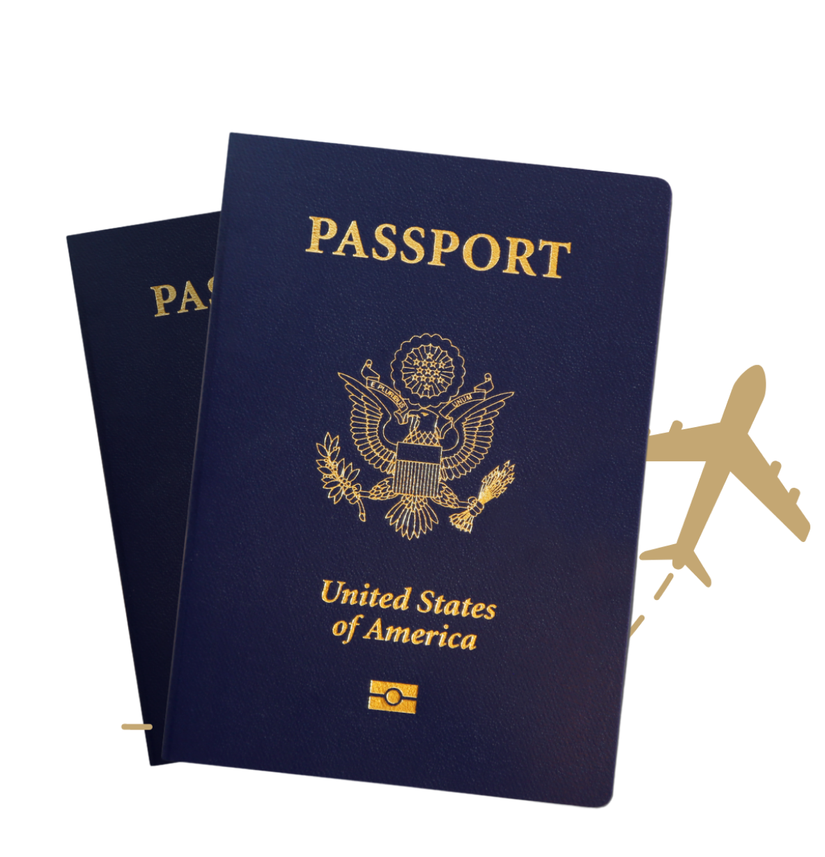 Passport Photos