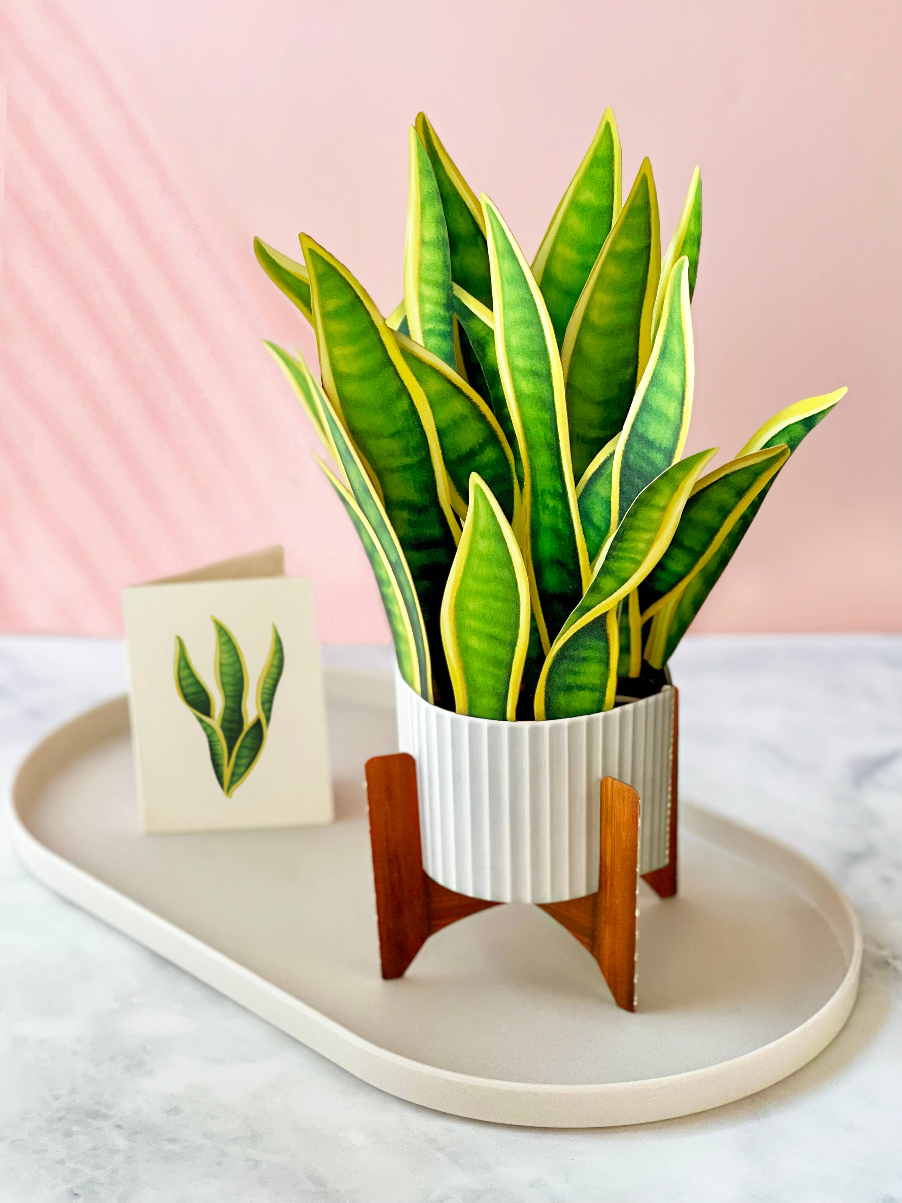 Snake Plant Pop-Up Greeting Card