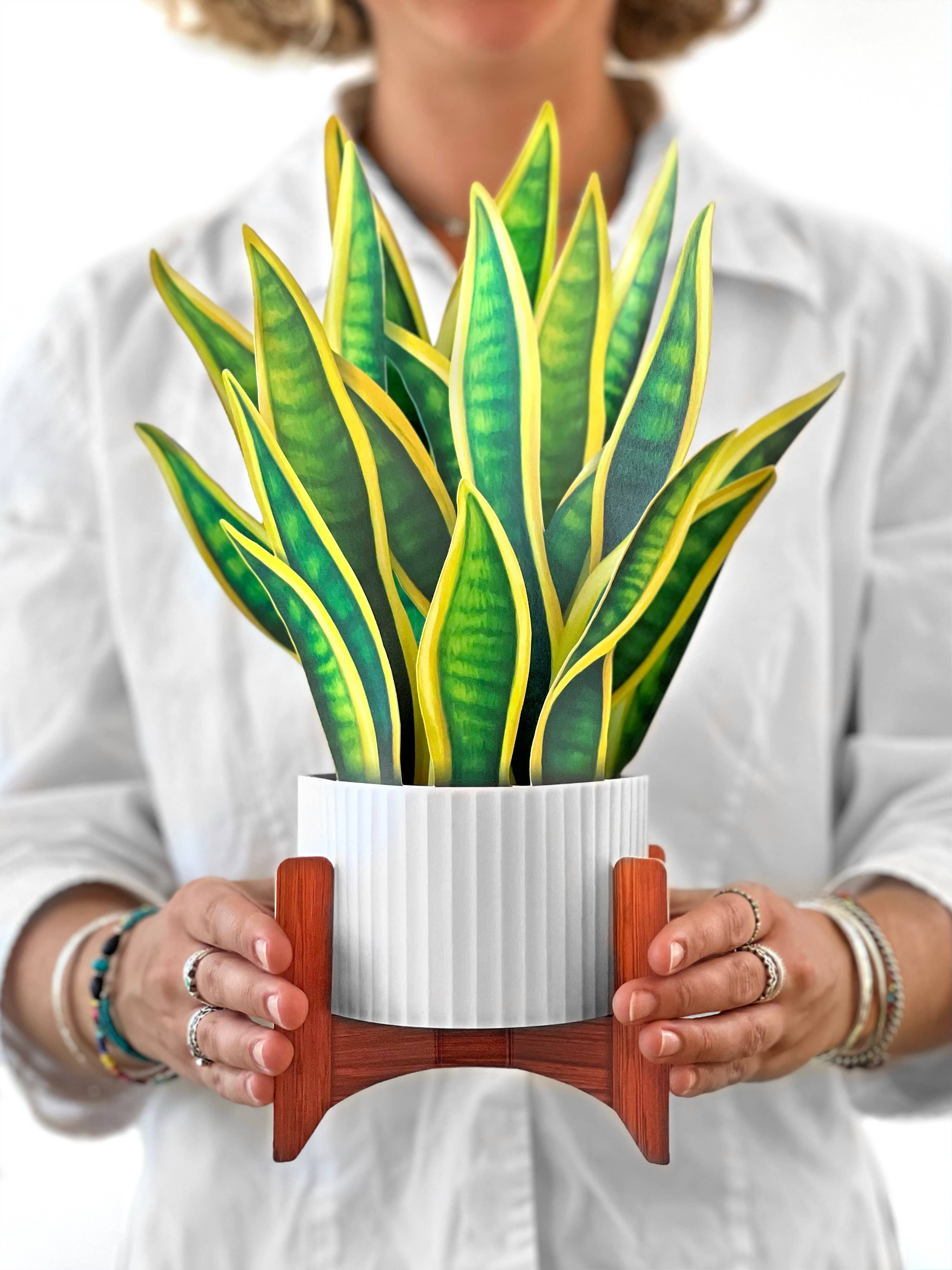 Snake Plant Pop-Up Greeting Card