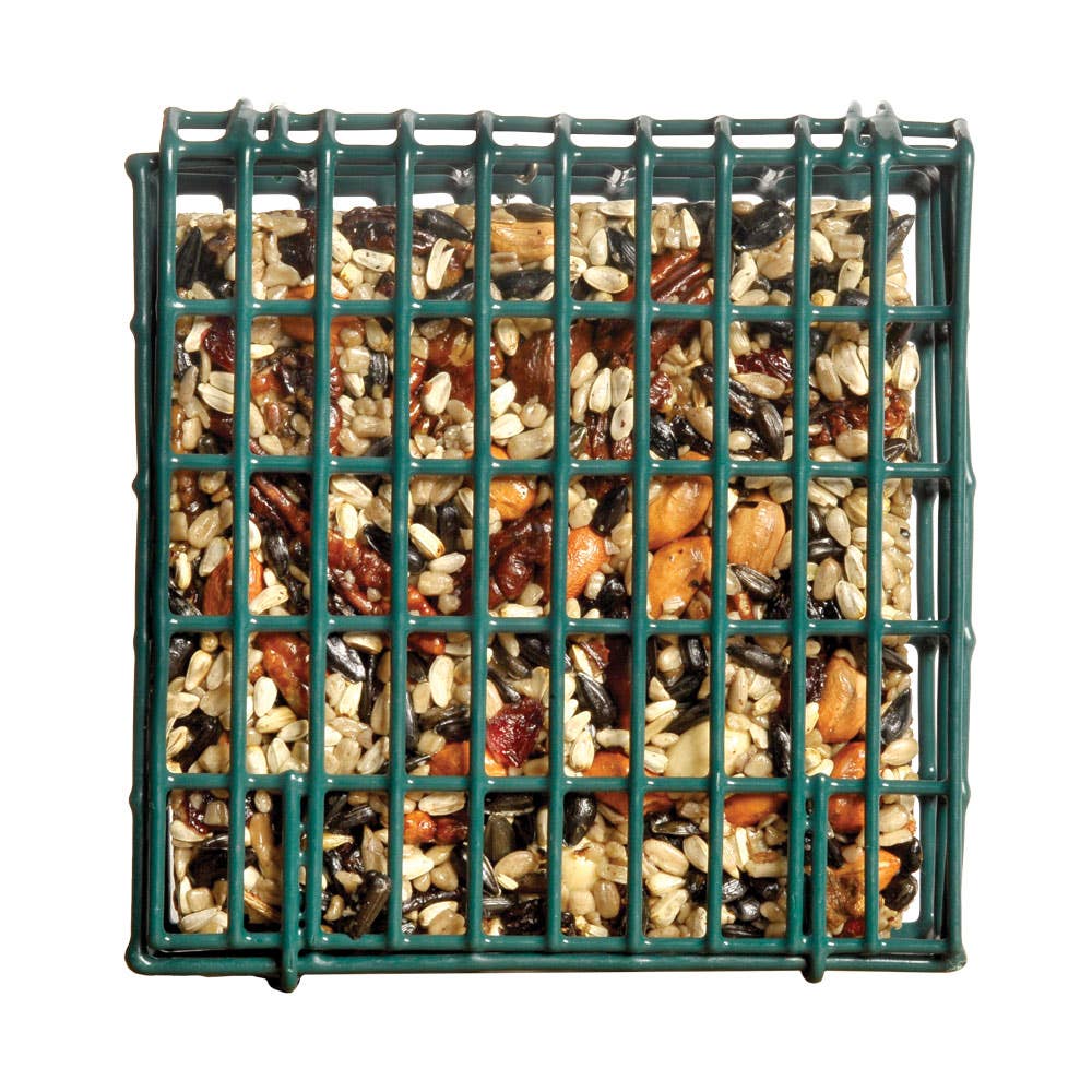Neat Feeder - Small
