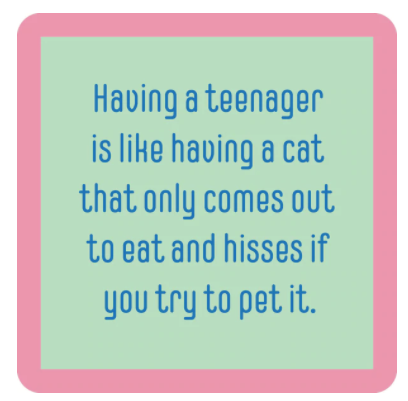 Drinks On Me Coaster: Teenager Cat