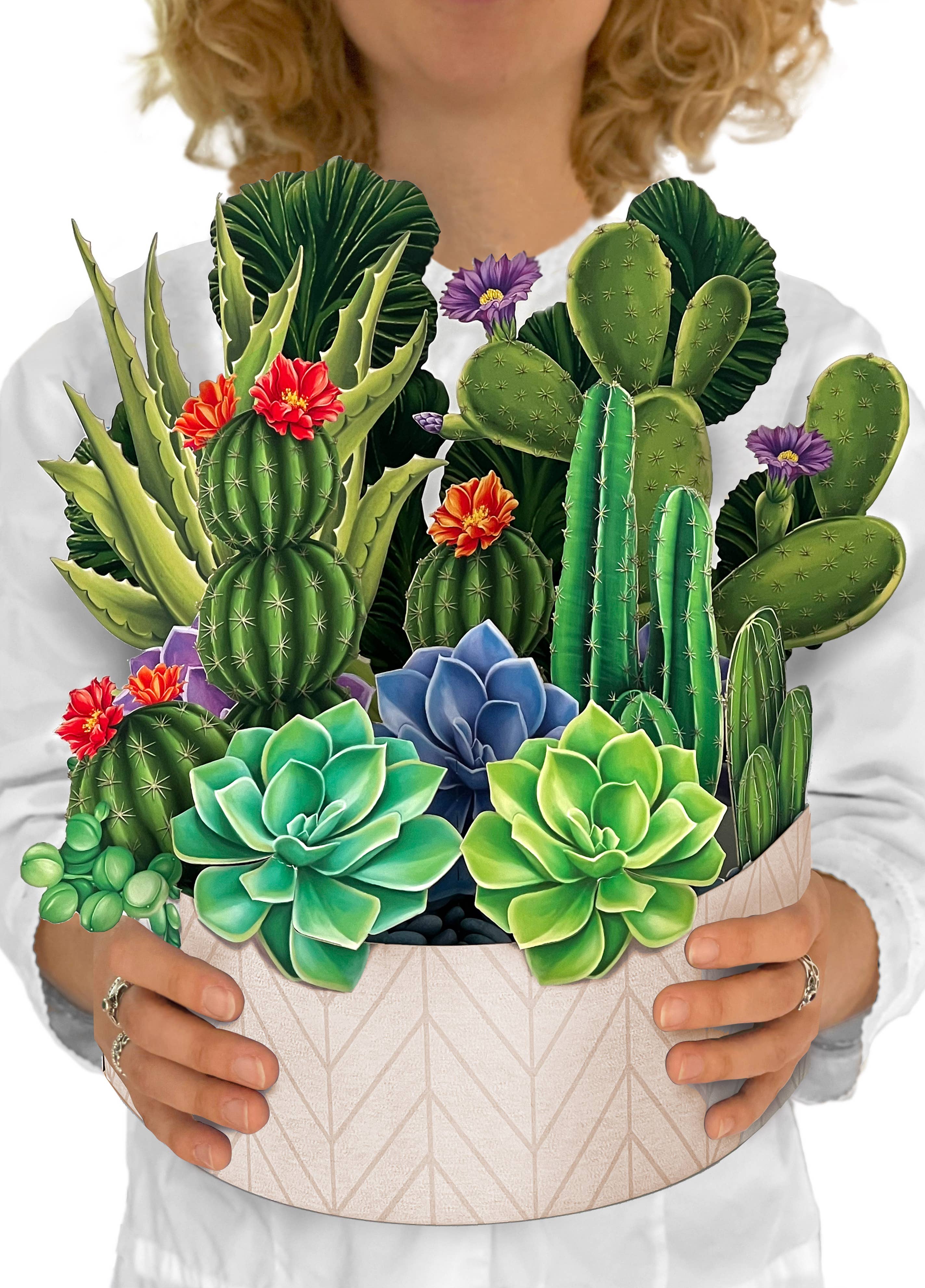 FreshCut Cactus Garden Pop-Up Greeting Card