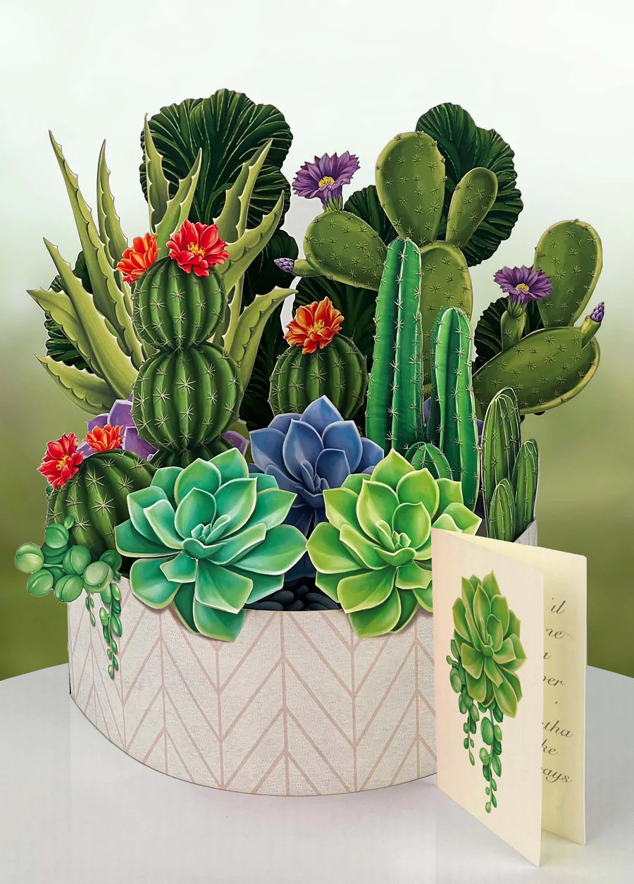FreshCut Cactus Garden Pop-Up Greeting Card